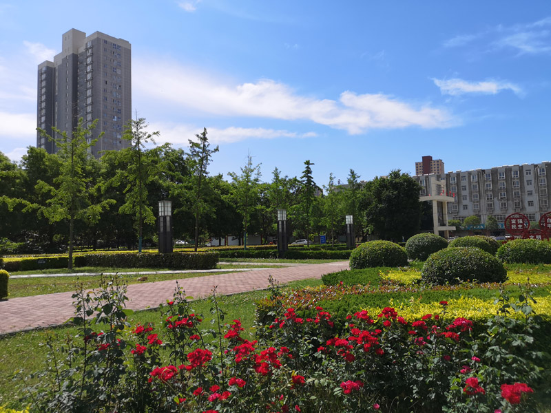 校园环境