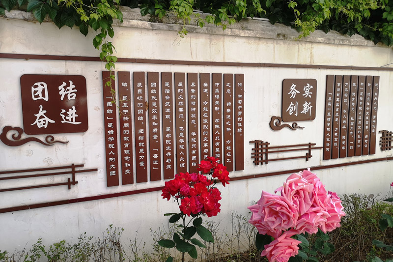 校园环境
